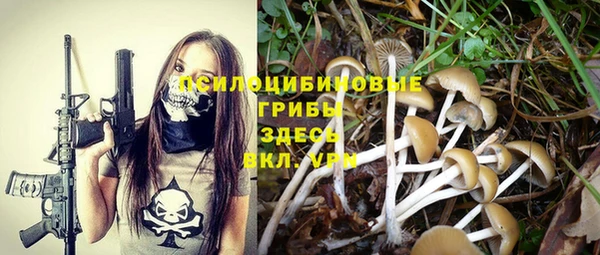 дмт Михайловск