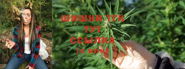 дмт Михайловск
