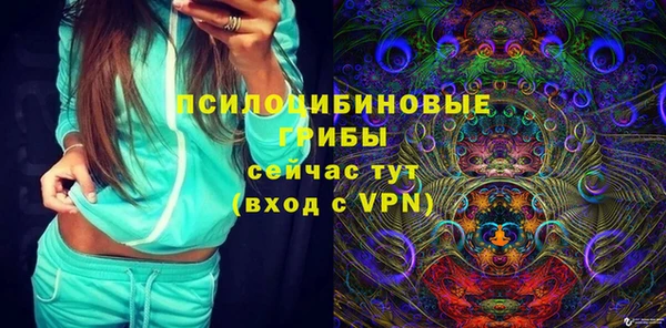 спиды Михайлов