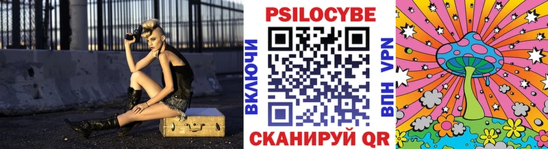 Псилоцибиновые грибы Cubensis  Иннополис 